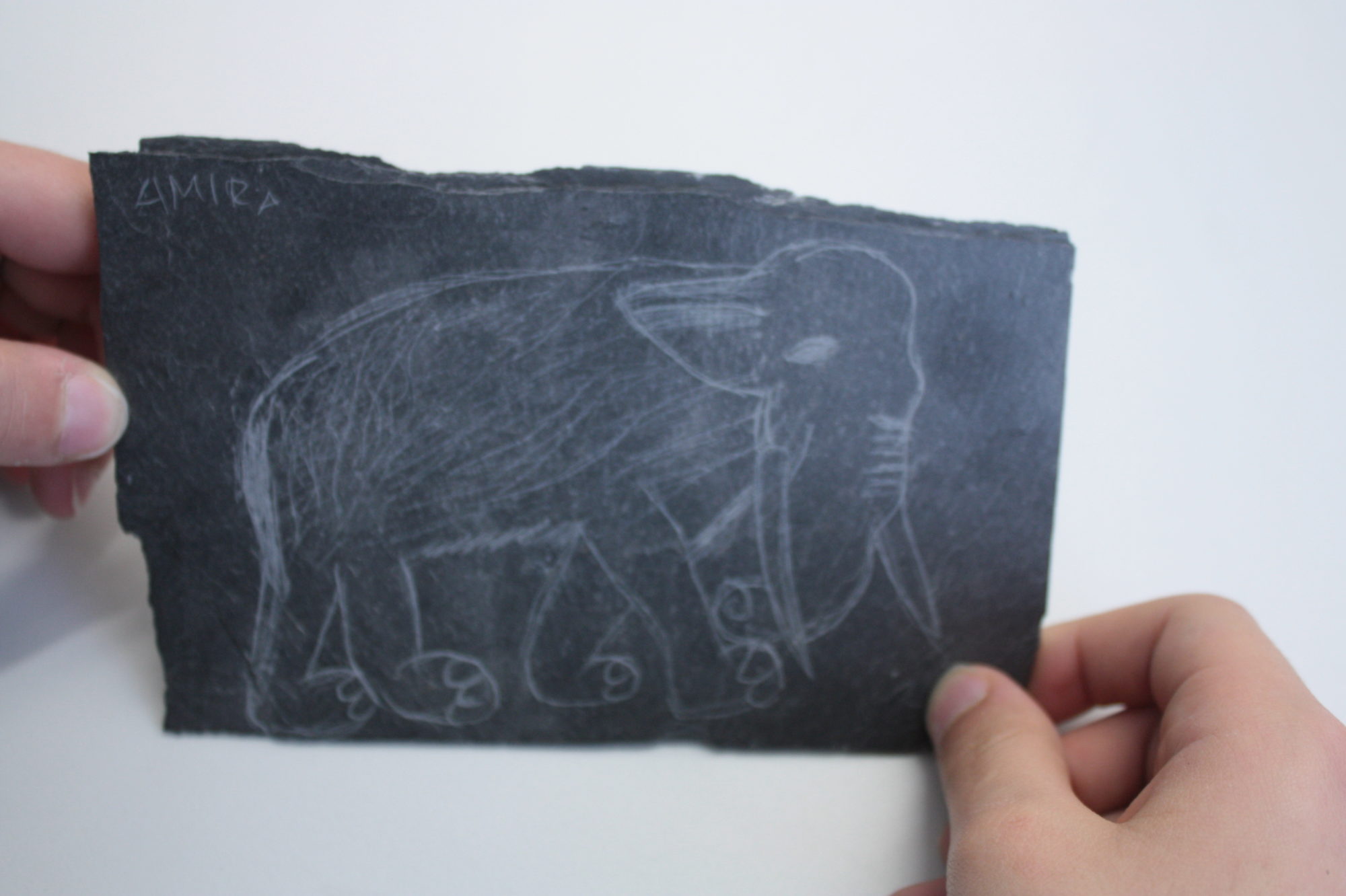 Elefant auf Platte gerizt