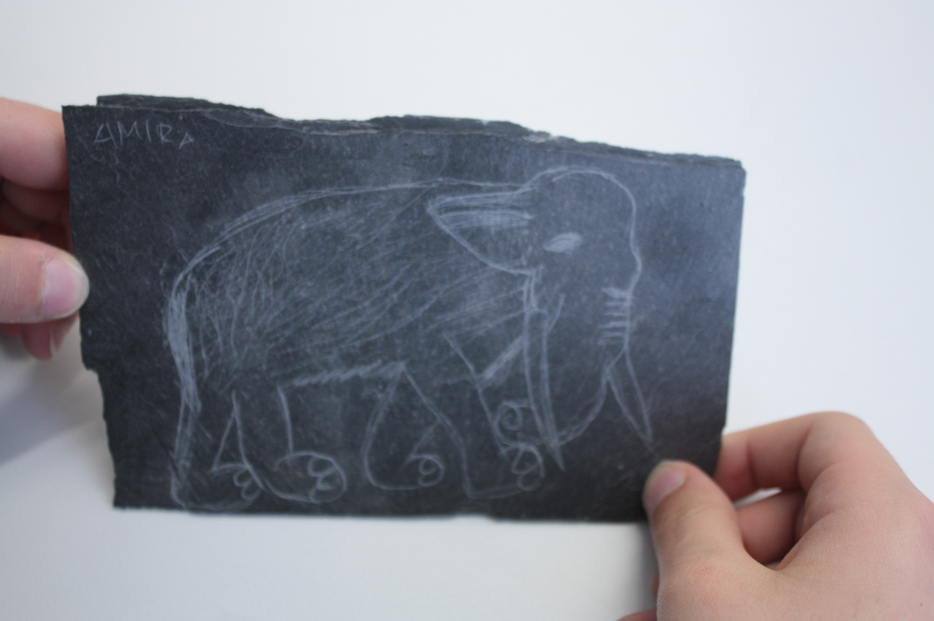 Elefant auf Platte gerizt