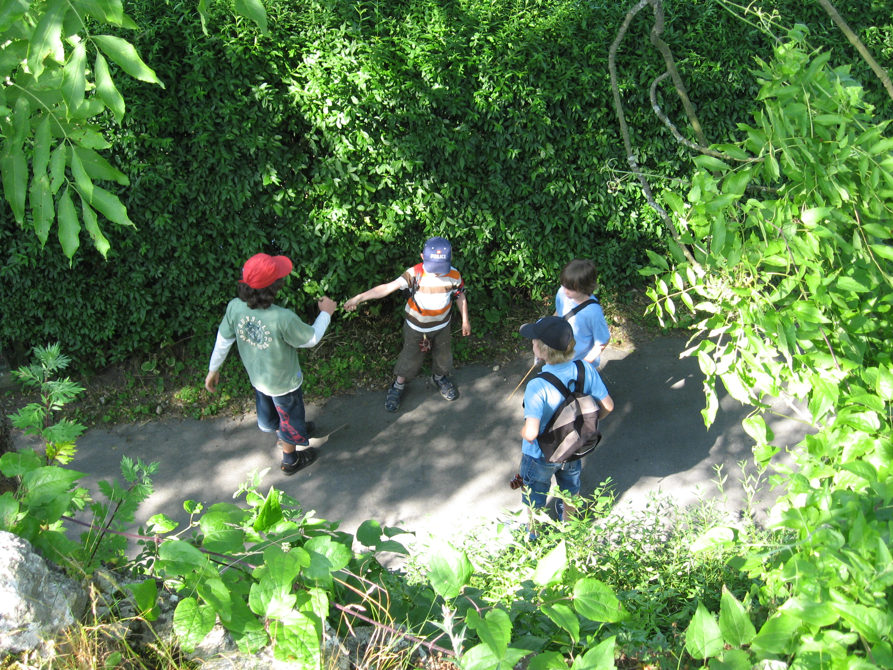 Wald-Spiele