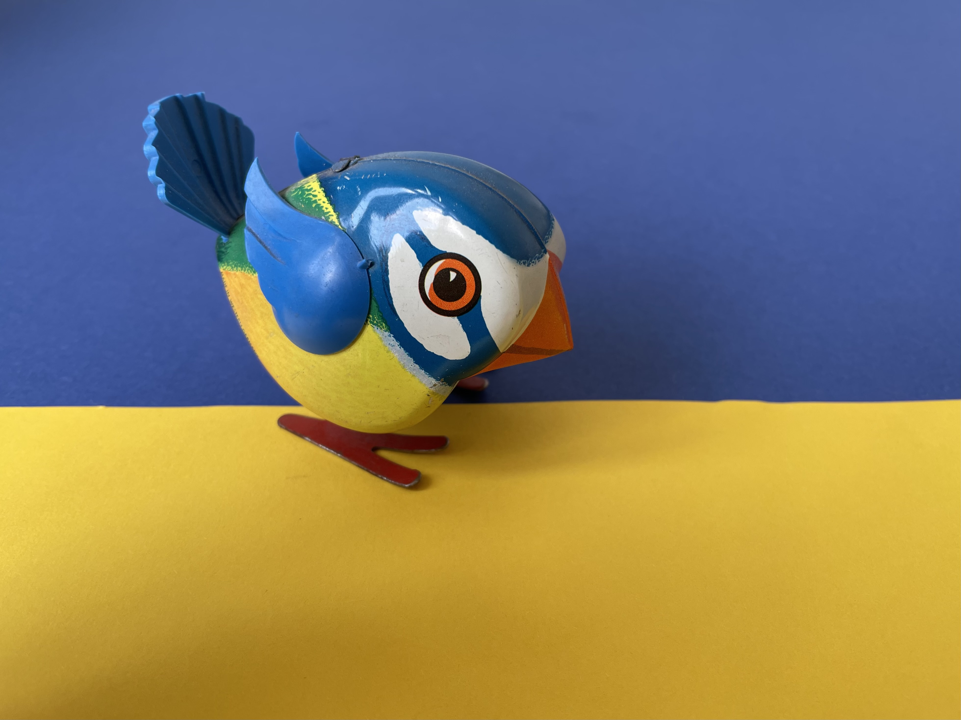 blau gelbe Blaumeise sitzt auf Ukraine-Flagge